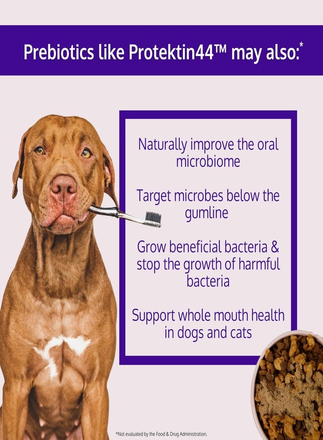 HOLI Dental Powder for Dogs – Prebiotic Plaque & Tartar Remover with Protektin44 – Fresh Breath & Gum Health Support – with All Natural, Beef Liver Topper - Image 3